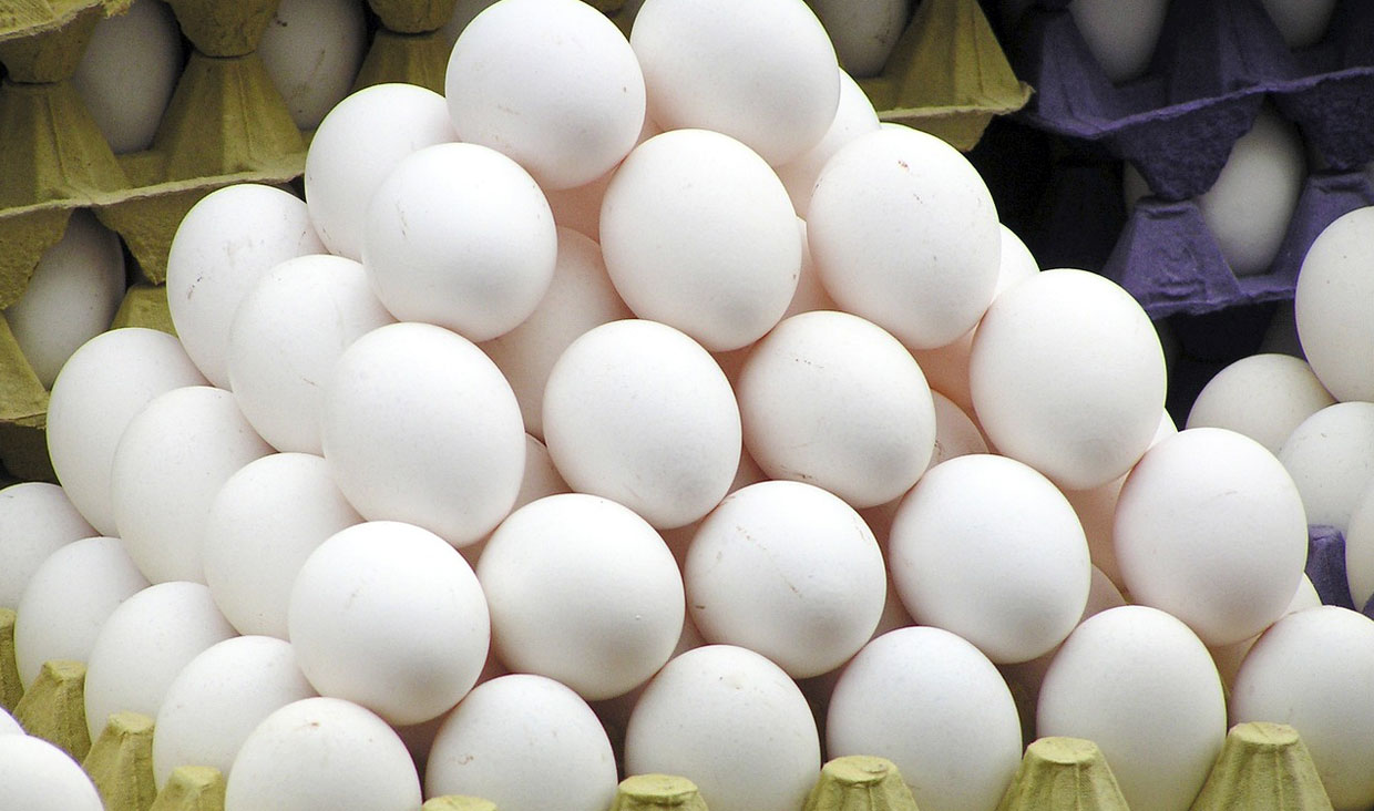 کاهش نرخ تخم مرغ در بازار