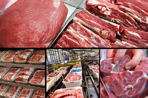 جزئیات شیوه جدید توزیع گوشت تنظیم بازاری