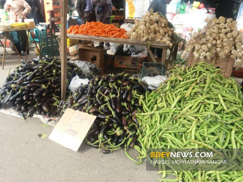 “دوشنبه بازار” شهر سنگر از نگاه دوربین