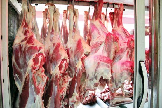 تداوم واردات گوشت تا کاهش قیمت به ۶۵هزار تومان/ تدابیر ویژه برای تأمین مرغ و گوشت ماه رمضان