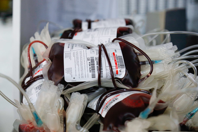 سهم پنج درصدی زنان ایرانی از اهدای خون