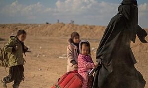 سازمان ملل: ۵۵ هزار داعشی در عراق و سوریه مستقرند