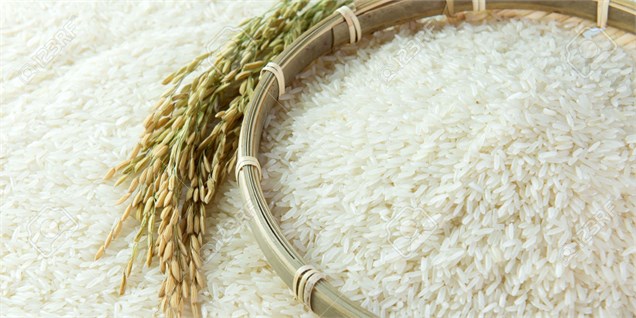 کاهش ۱۵ درصدی قیمت برنج ایرانی در بازار