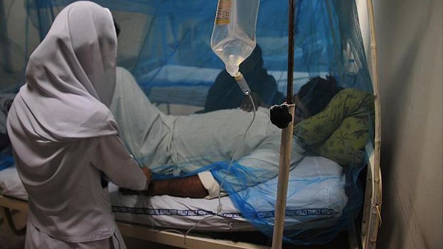 ۱۴ نفر در گیلان به تب کنگو مبتلا شدند