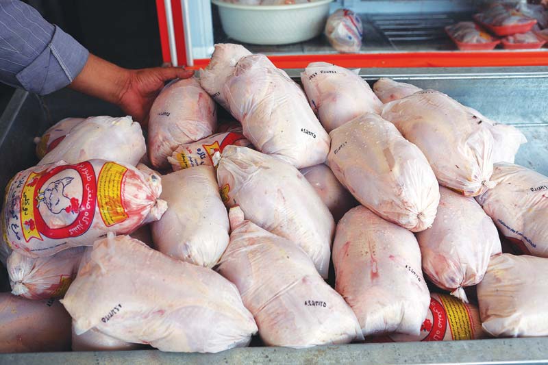 قیمت مرغ کاهش یافت/ آمادگی کامل برای پاسخگویی به حجم تقاضای مرغ در ماه محرم