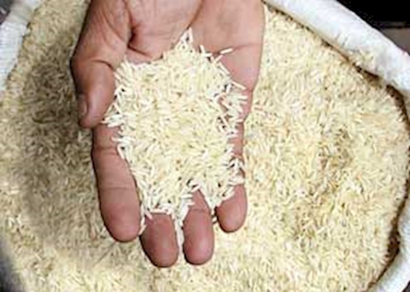 ظلم در حق خریداران/ برنج پاکستانی به جای برنج ایرانی فروخته می‌شود