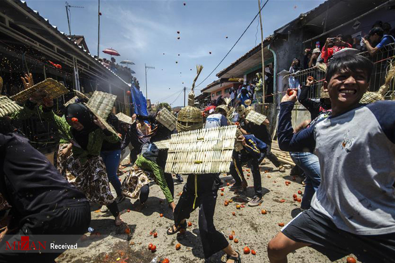 جنگ گوجه فرنگی در اندونزی +عکس