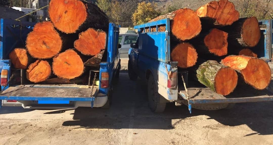 کشف ۶ مترمکعب چوب قاچاق در فومن