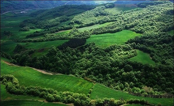 جشن ثبت جنگل‌های هیرکانی در رشت برگزار می شود
