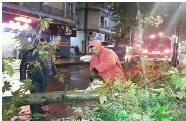 عملیات آتش نشانان در پی سقوط درخت در بلوار گیلان رشت
