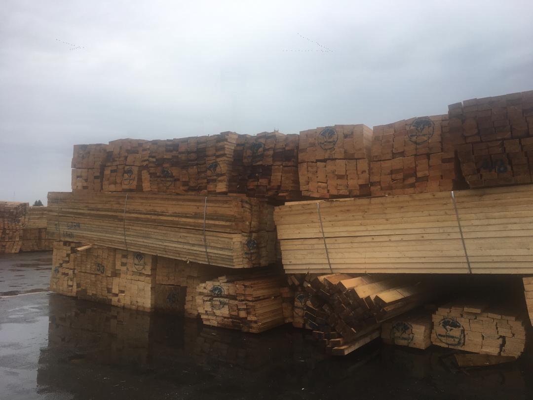 کشف ۵۱ تن چوب قاچاق در رضوانشهر