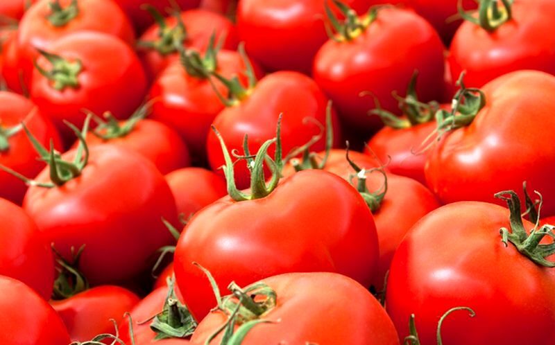 قیمت گوجه فرنگی بین ۳۰ تا ۴۰ درصد در رشت کاهش یافت