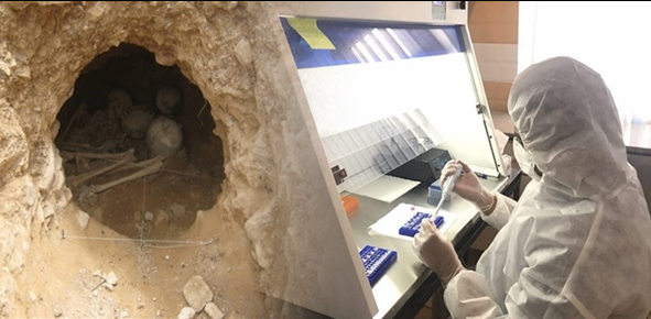 شناسایی روش تدفین دوره اسلامی در منطقه باستانی لیارسنگ بن املش