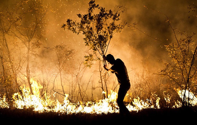 آتش سوزی در جنگل های گیلان؛ از شاندرمن تا لیلاکوه/ پلیس در خواست کمک کرد+فیلم
