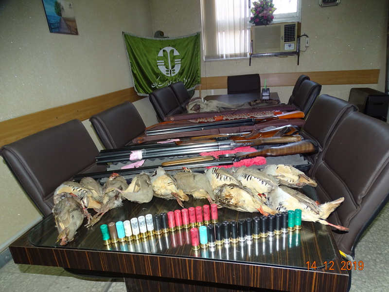 دستگیری ۵ شکارچی متخلف در عمارلوی رودبار