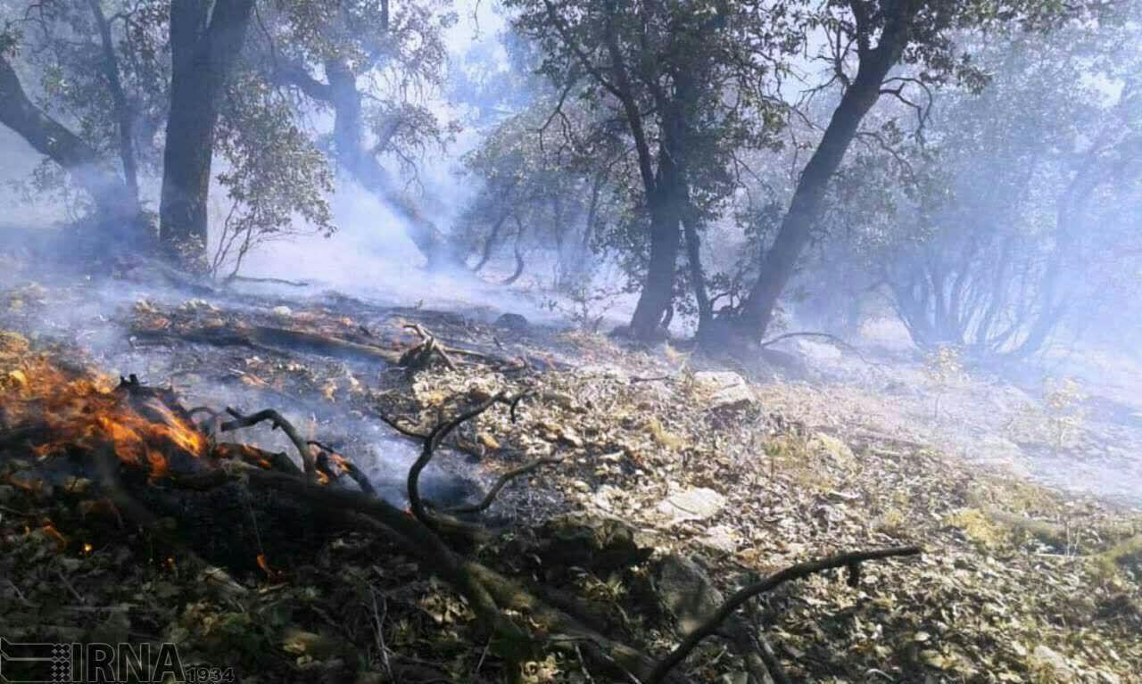 مهار آتش‌سوزی اراضی جنگلی آستارا و شناسایی ۲ عامل انسانی آن