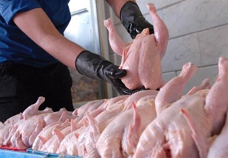 تولید گوشت مرغ در استان افزایش یافت