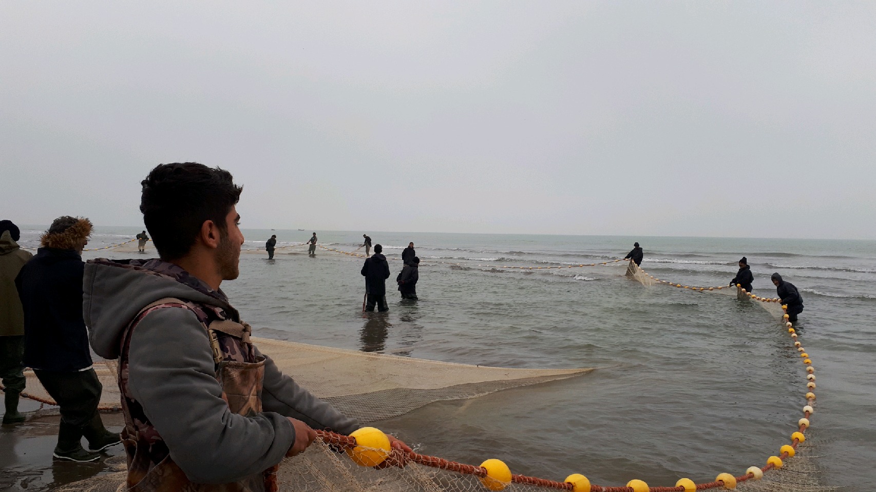 صید بیش از ۱۳۰ هزار کیلوگرم ماهی در کیاشهر