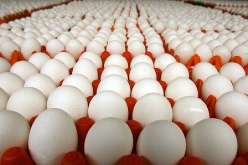 کشف ۵ تن تخم مرغ فاقد مجوز در آستارا