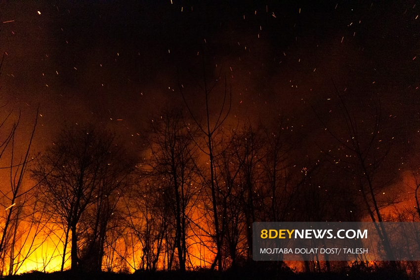 عملیات امدادرسانی اورژانس در حادثه حریق جنگلهای سیاهکل/ مردم از روشن کردن آتش جدا خودداری کنند