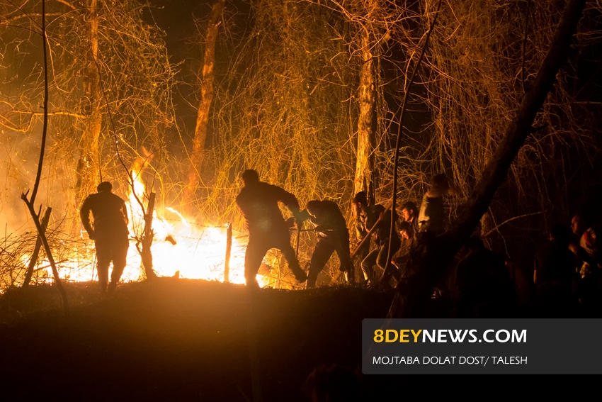 ۴۱هکتار از جنگل های گیلان دچار آتش سوزی شد