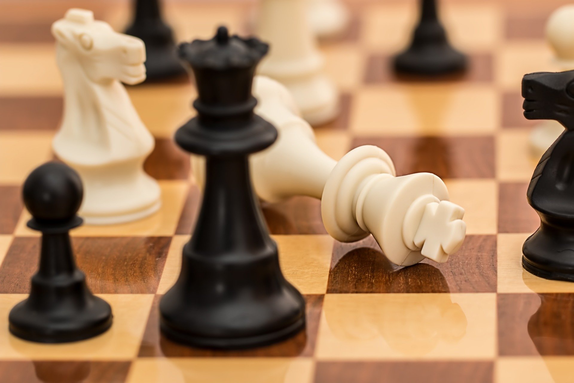 برگزاری بیستمین مسابقات شطرنج بین‌المللی در رشت