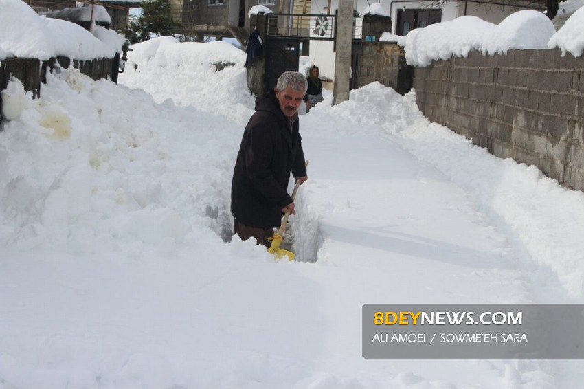 تصاویر/ وضعیت روستای نرگستان صومعه سرا بعد از بارش برف