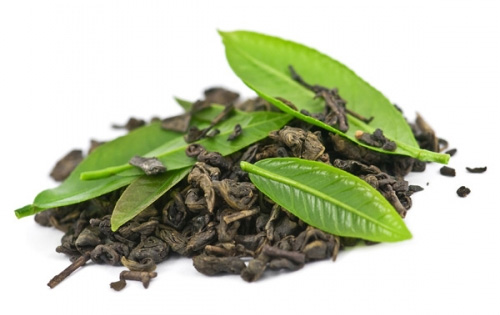 پرداخت ۹۸ درصد مطالبات چایکاران/اعلام نرخ خرید تضمینی برگ سبز چای طی روز‌های آتی