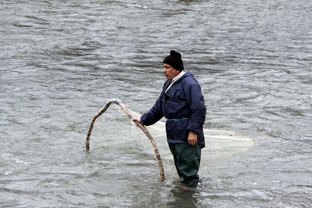 صید در رودخانه مرزی آستارا ممنوع شد