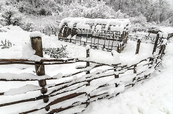 بارش نخستین برف بهاری در کوهستان‌های گیلان