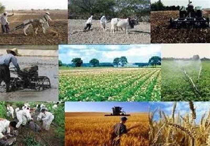 پرداخت بیش از ۱۹۰۰ میلیارد ریال تسهیلات روستایی برای طرح‌های کشاورزی در گیلان