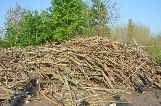 کشف ۳۵ تن چوب جنگلی قاچاق در لنگرود