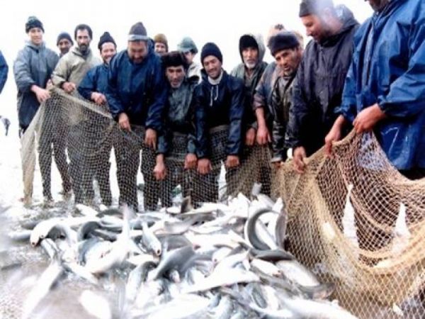 مهلت صیادان گیلانی برای صید ماهیان استخوانی پایان یافت