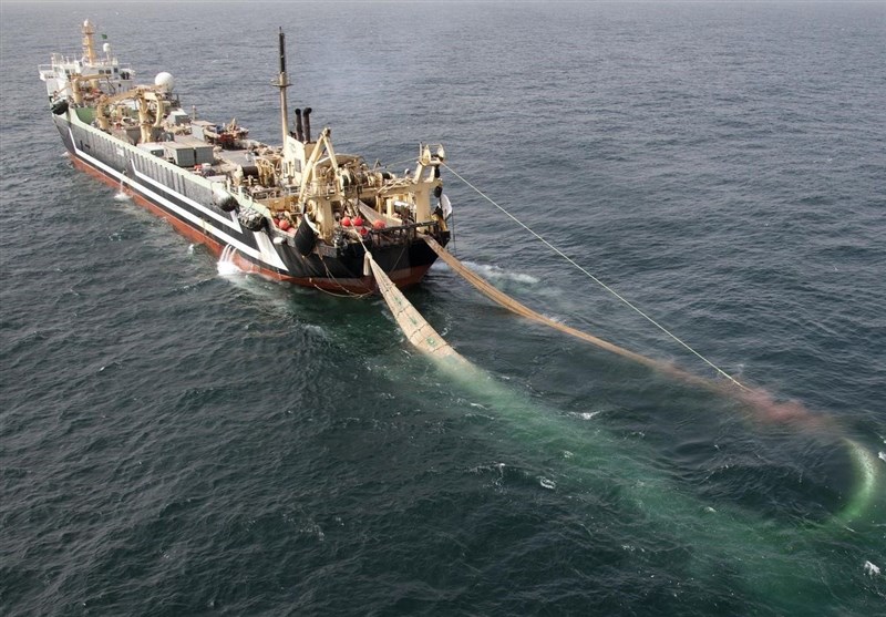 توقیف ۳ فروند شناور صیادی ترال در خلیج فارس / کشف ۴۰ تن ماهی و دستگیری ۵۳ ‌متهم