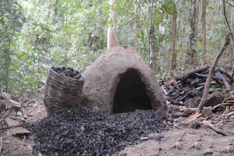 تخریب کوره های غیر مجاز زغال در آستارا