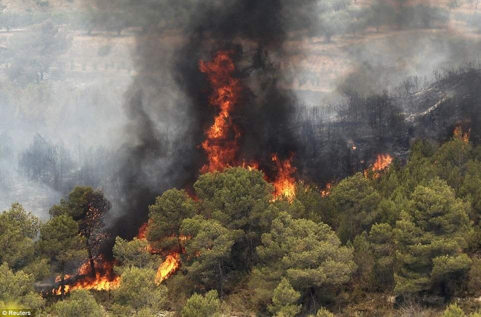آتش سوزی جنگل های آستارا مهار شد
