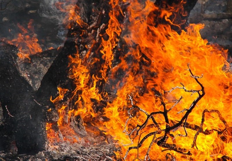 مهار آتش‌سوزی جنگل‌های پره‌سر گیلان/ عامل حادثه شناسایی شد