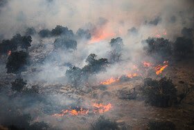 عاملان آتش‌سوزی جنگل‌های “خائیز” دستگیر شدند