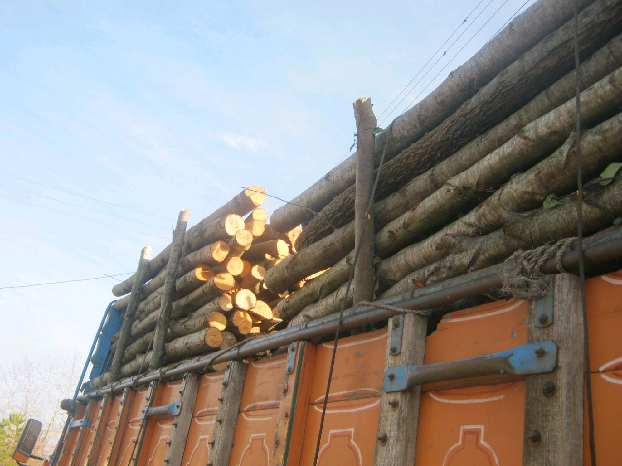 کشف بیش از ۸ تن چوب قاچاق در صومعه‌سرا