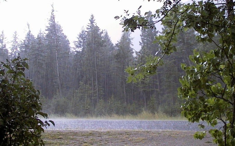 بارش باران تا پایان هفته در گیلان ادامه دارد