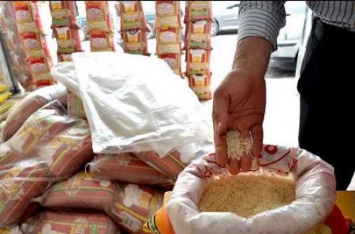 نگهداری برنج کشاورزان رضوانشهری از ترس حشره در سردخانه‌های اردبیل!