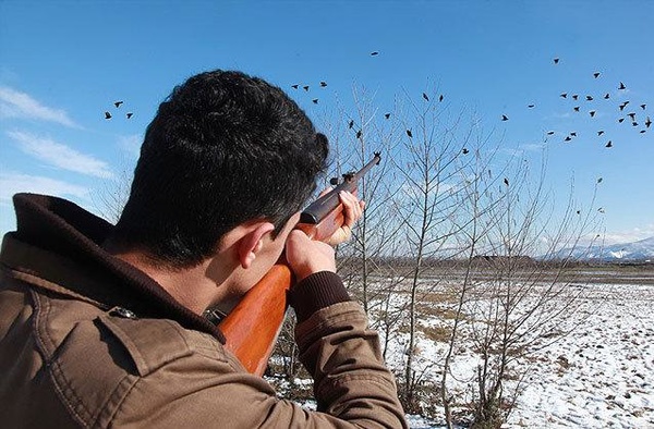 هرگونه شکار پرندگان تا اطلاع ثانوی در گیلان ممنوع است