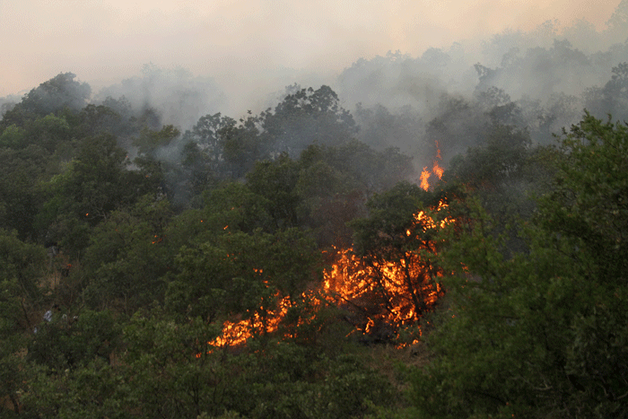 آتش‌سوزی ۶ هزار مترمربع از عرصه‌های جنگلی گیلان بر اثر وزش باد