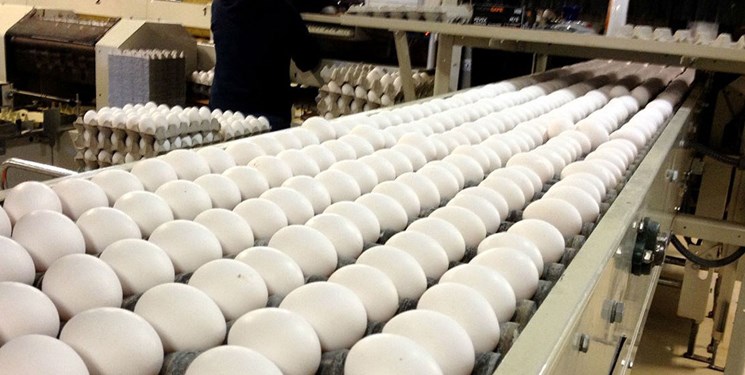 تعیین عوارض جدید صادرات تخم مرغ در دستور کار است