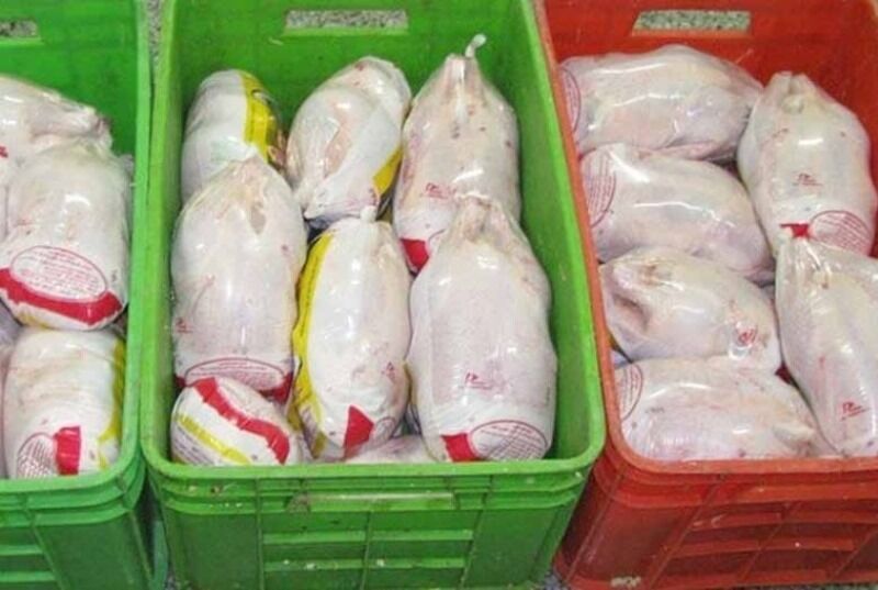 ۲۱۹ تن مرغ منجمد در گیلان توزیع شد