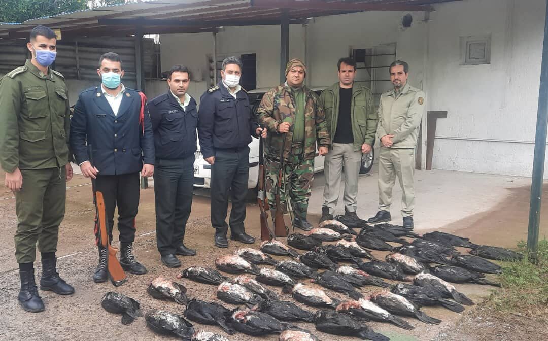 شکارچی ۴۲ قطعه پرنده مهاجر در گیلان دستگیر شد
