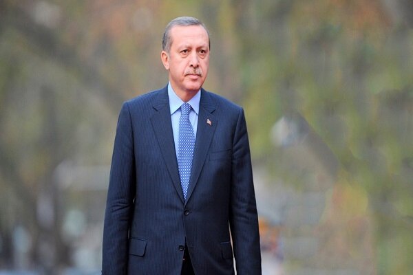 حمایت اردوغان از سیاست خارجی ترکیه