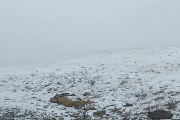 بارش نخستین برف پاییزی در گیلان+فیلم