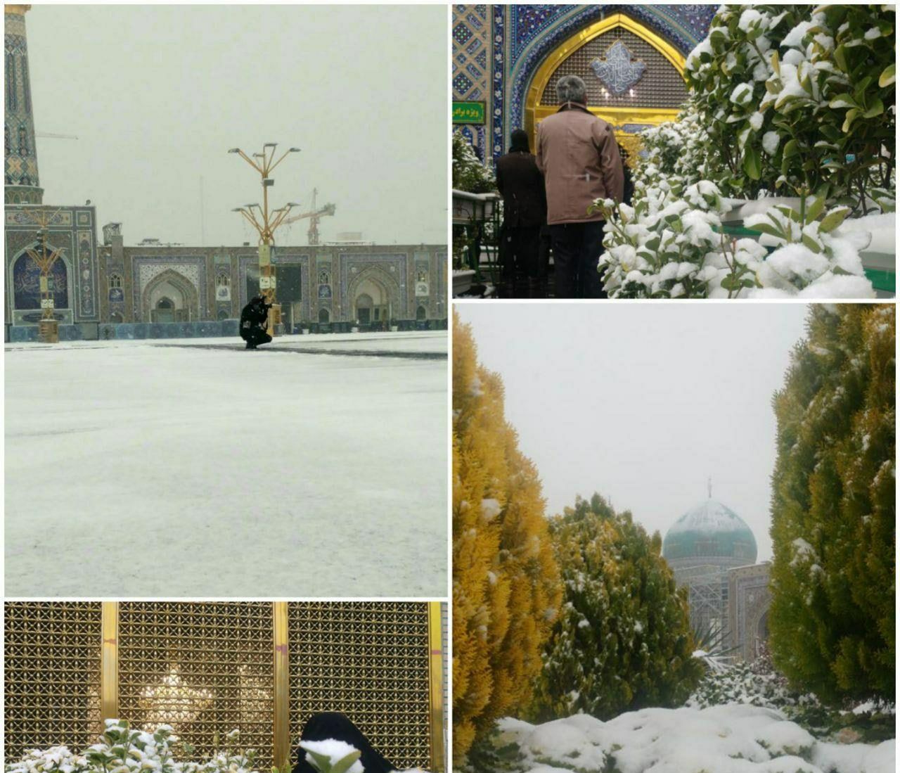 بارش زیبای برف پاییزی در حرم مطهر امام رضا(ع) + فیلم