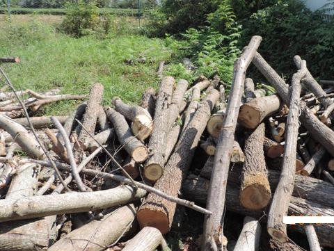 کشف بیش از ۵ تن چوب جنگلی قاچاق در املش